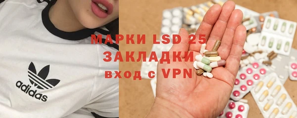 спиды Инсар