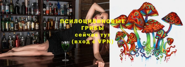 спиды Инсар