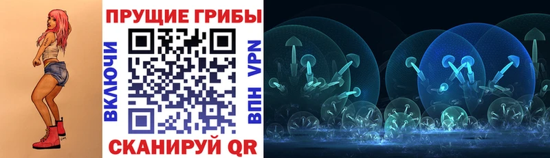Купить  Сокол  Псилоцибиновые грибы Magic Shrooms 